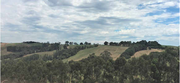 Wide landscape image of hills with trees.