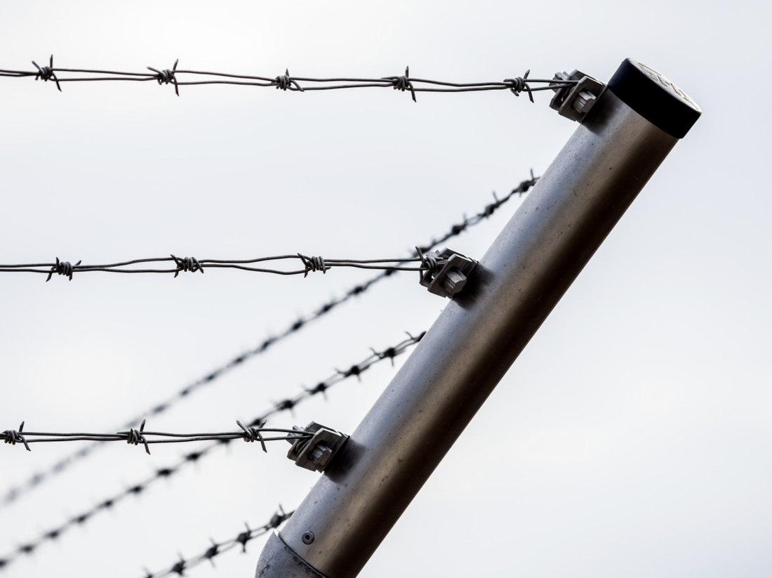 barbed wire fence