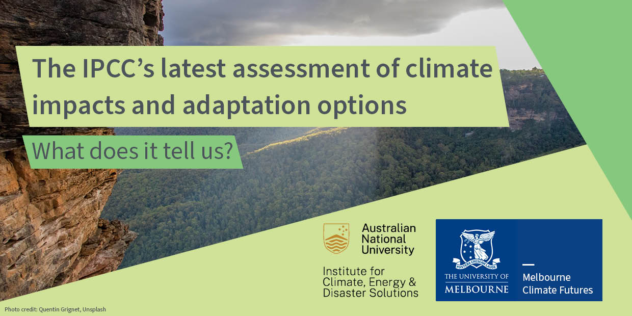 The IPCC&rsquo;s latest assessment of climate impacts and adaptation options