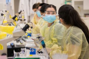 Students in lab