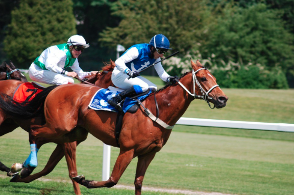 Horse racing