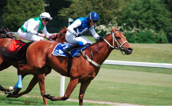 Image of horse racing.
