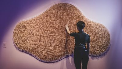 Person standing in front of Gut villi wall at Melbourne Museum
