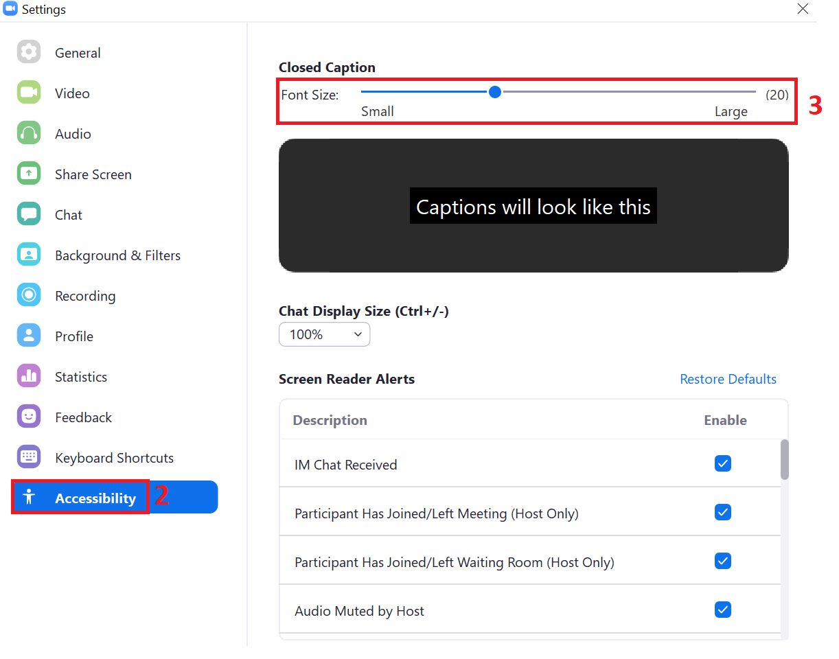 Screenshot of Zoom Accessibility settings